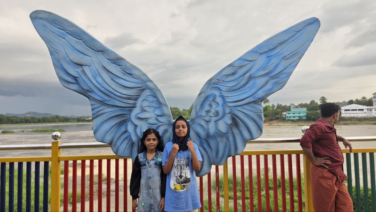 Butterfly Statue EMS Park