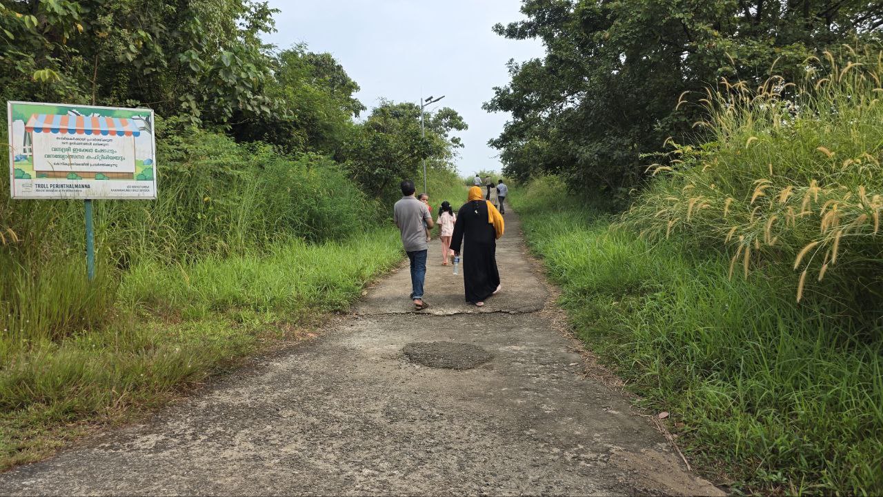Return trail Kodikuthimala