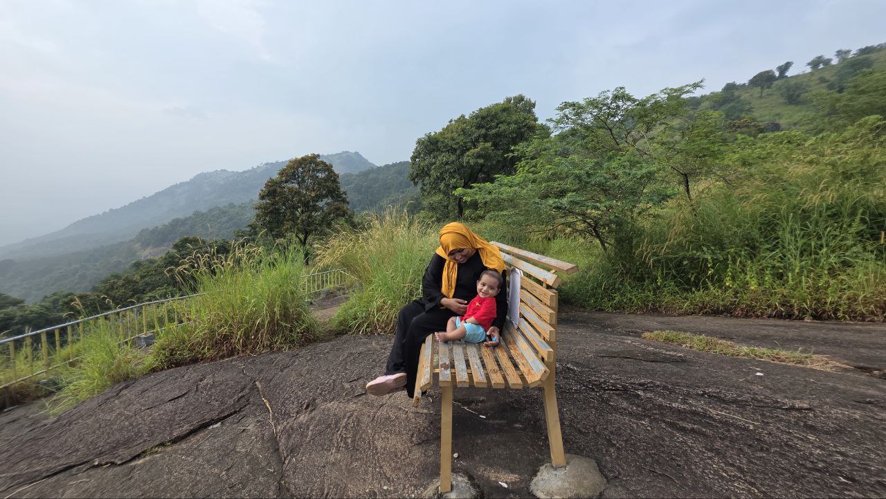 Nature view Kodikuthimala