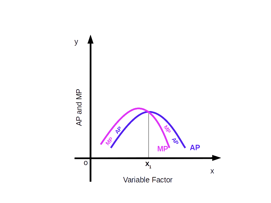 AP-MP-Curve
