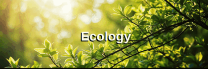 General Knowledge (GK) Quiz on Ecology